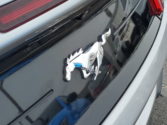 Certified 2022 Ford Mustang Premium RWD image 30