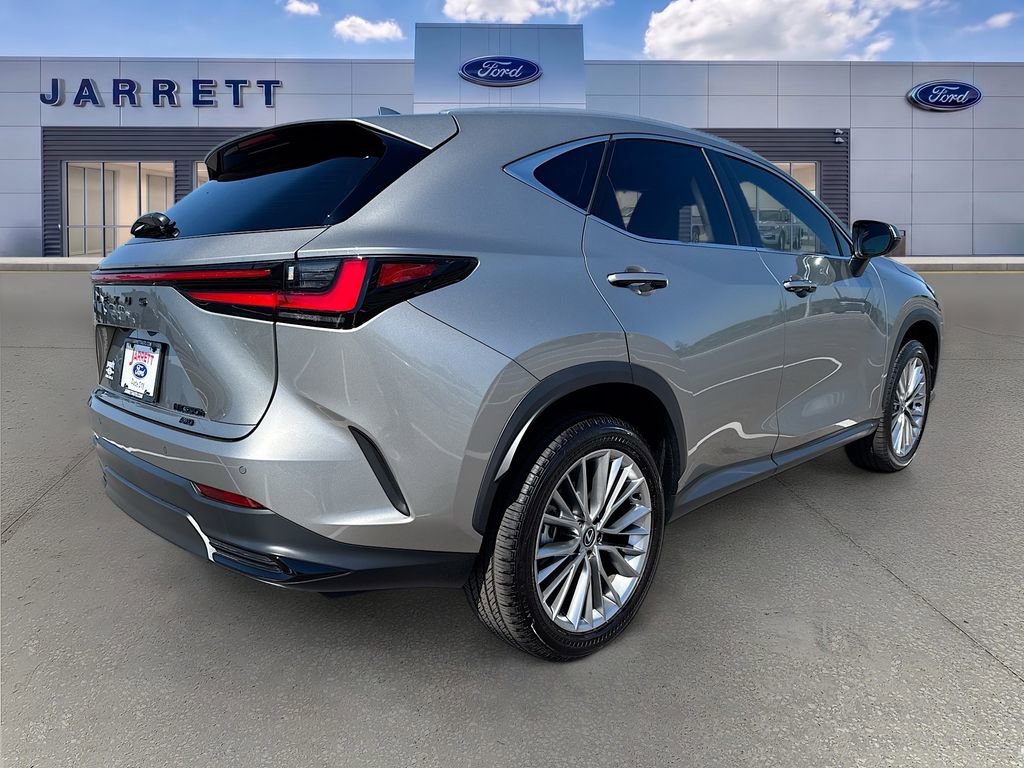 Used 2025 Lexus NX 350h AWD w/ Cold Area Package image 8