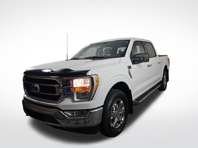 Certified 2023 Ford F150 XLT w/ Equipment Group 301A Mid image 3