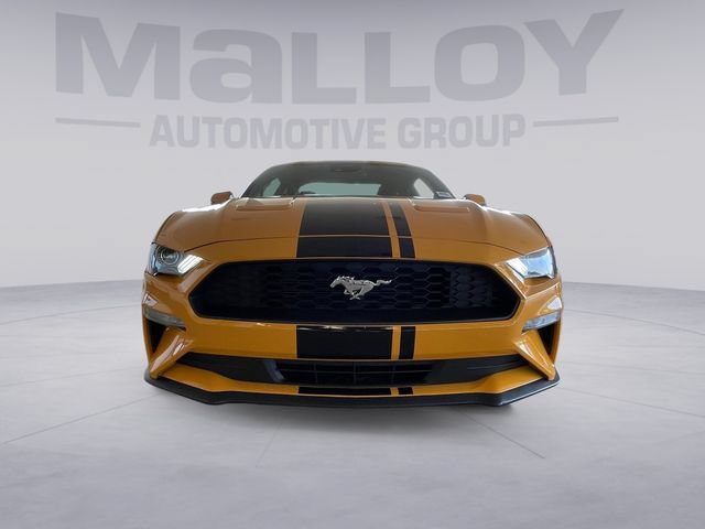 Certified 2022 Ford Mustang Premium w/ Equipment Group 201A RWD image 8