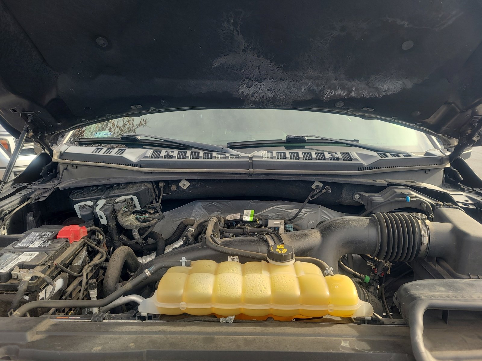 Certified 2019 Ford F150 XLT w/ Equipment Group 302A Luxury image 21