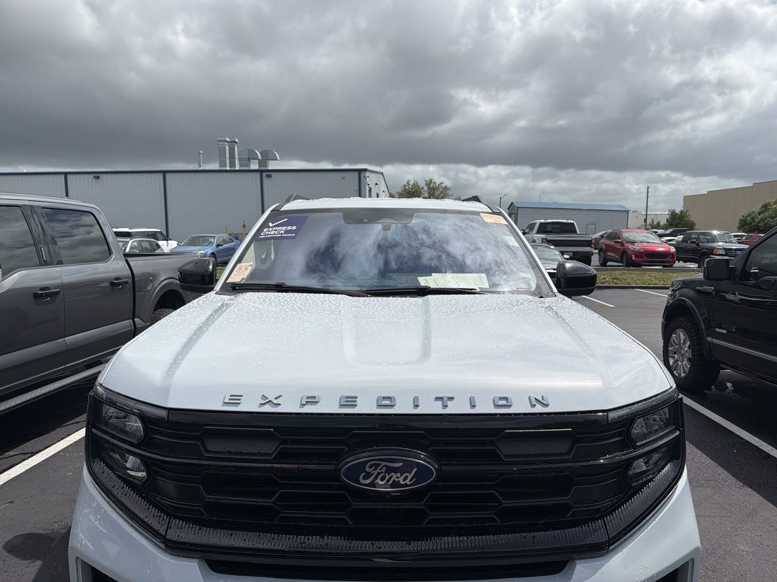 Certified 2025 Ford Expedition Active image 7