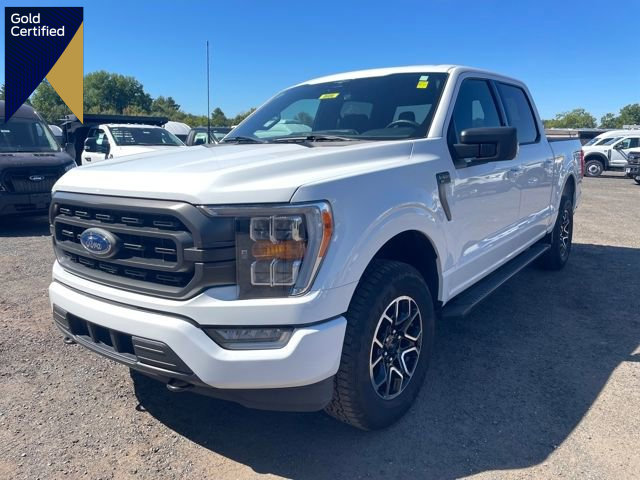 Certified 2023 Ford F150 XLT w/ Equipment Group 302A High