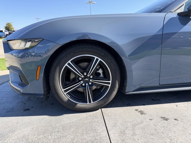 Certified 2024 Ford Mustang EcoBoost image 5