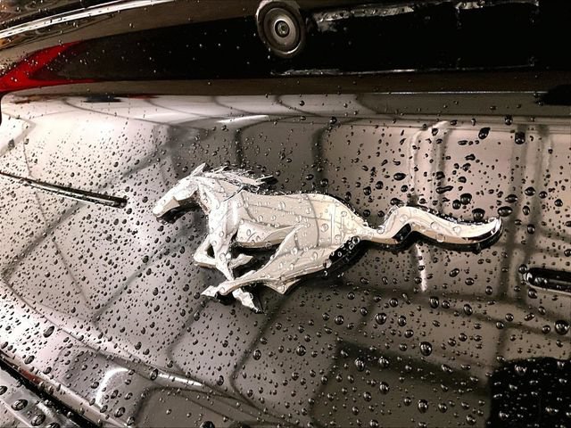Certified 2020 Ford Mustang Premium RWD image 13