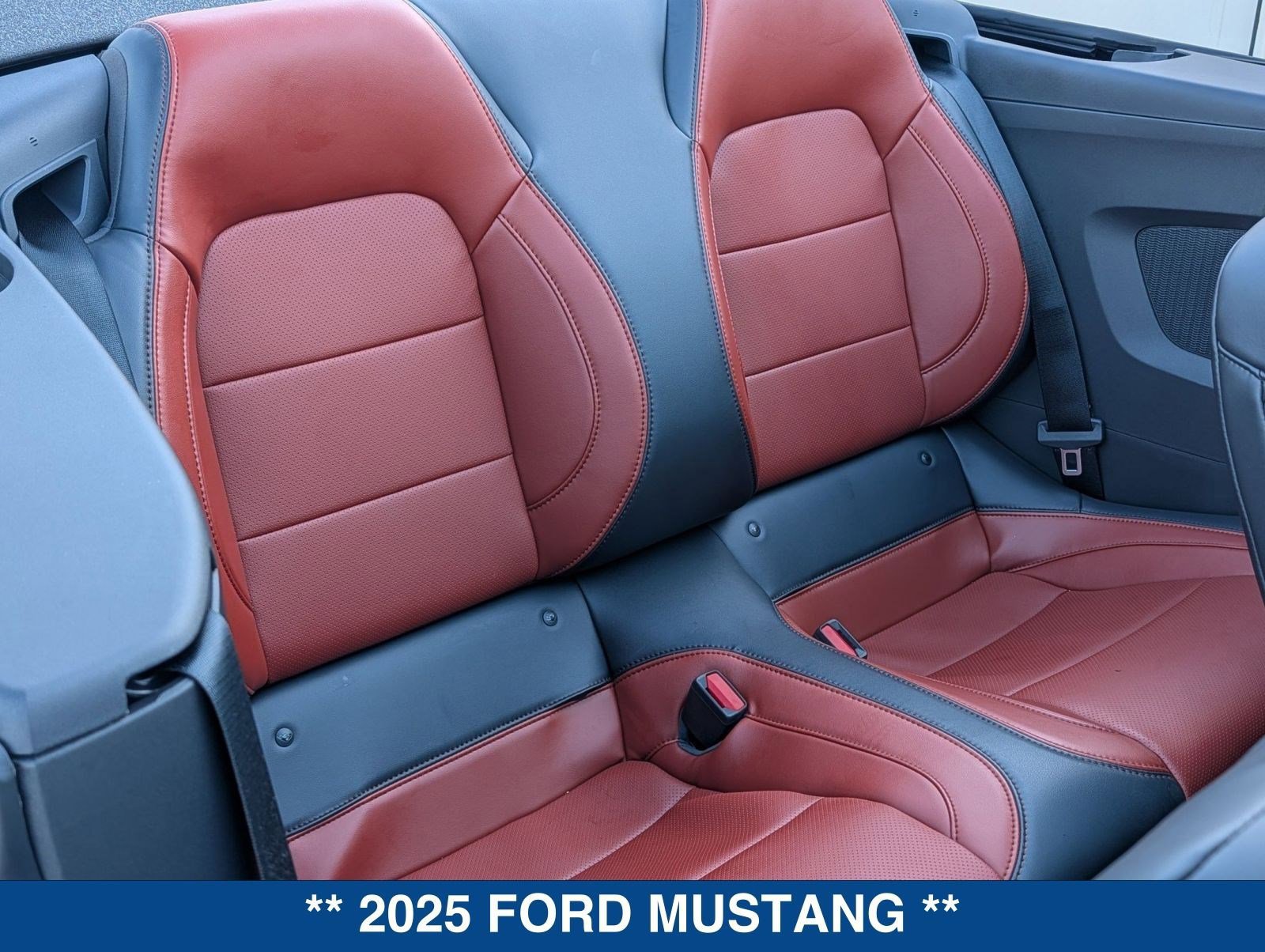 Certified 2025 Ford Mustang Premium image 15