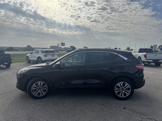 Certified 2022 Ford Escape SEL image 2