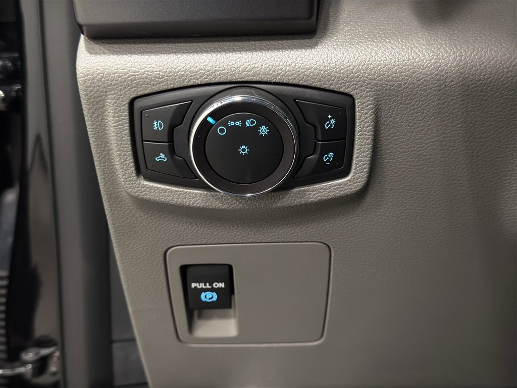 Certified 2019 Ford F150 XLT w/ Equipment Group 301A Mid image 12