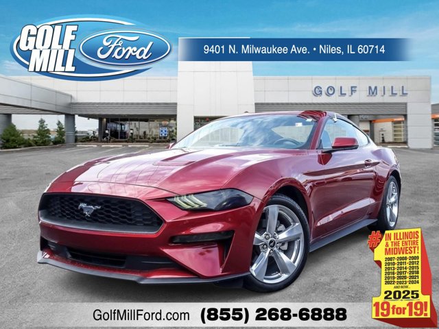 Certified 2019 Ford Mustang Premium w/ Equipment Group 201A