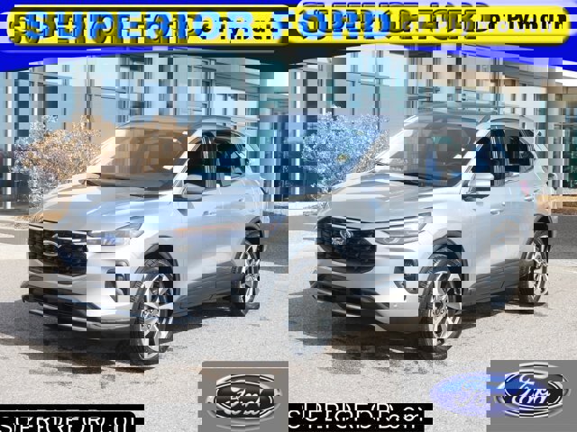 Certified 2024 Ford Escape Platinum image 6