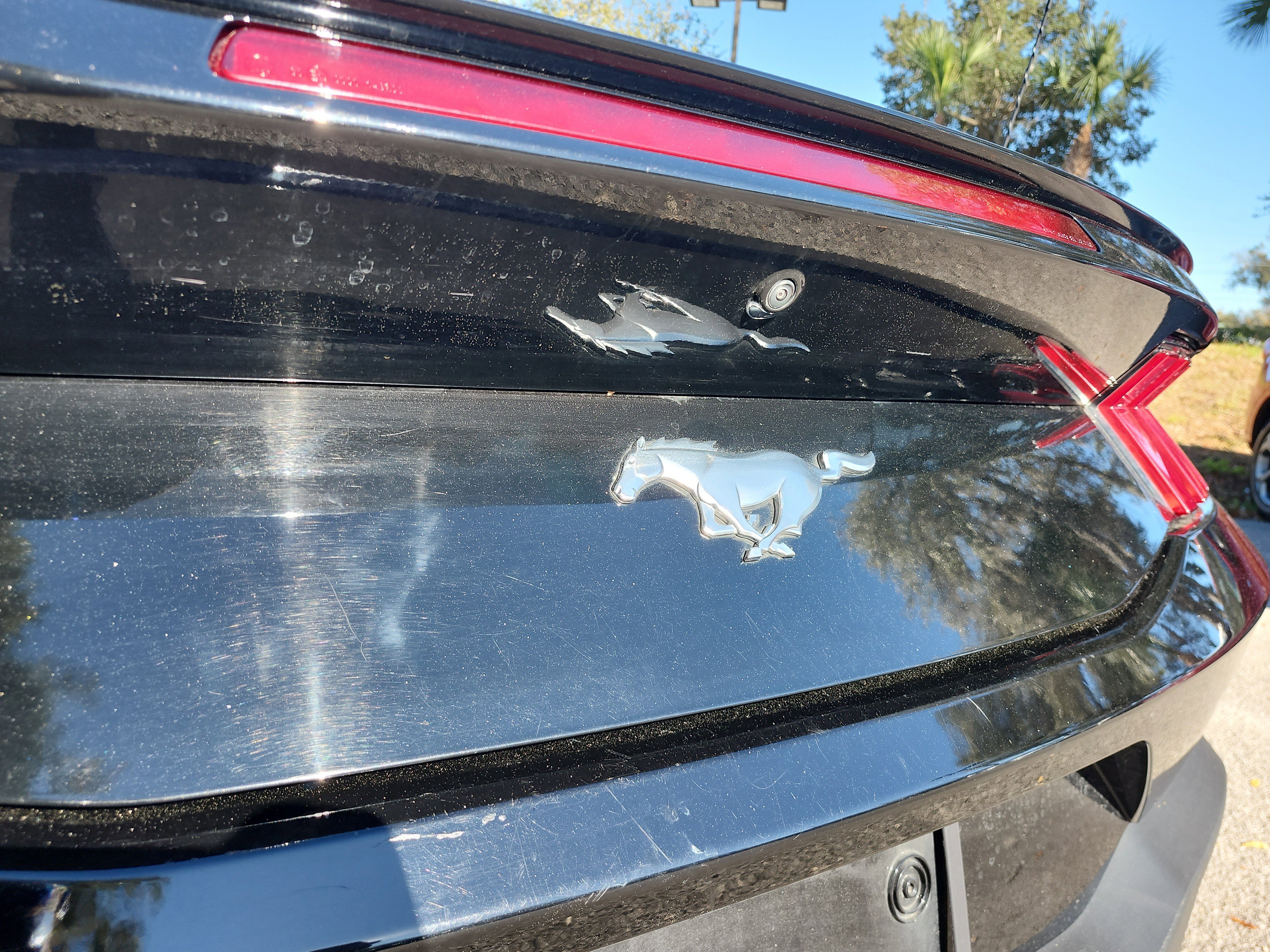 Certified 2024 Ford Mustang Premium image 25