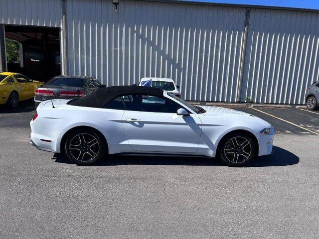 Certified 2023 Ford Mustang Premium image 3