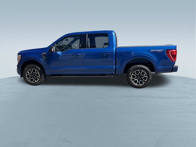 Certified 2023 Ford F150 XLT w/ Equipment Group 302A High AWD/4WD image 8