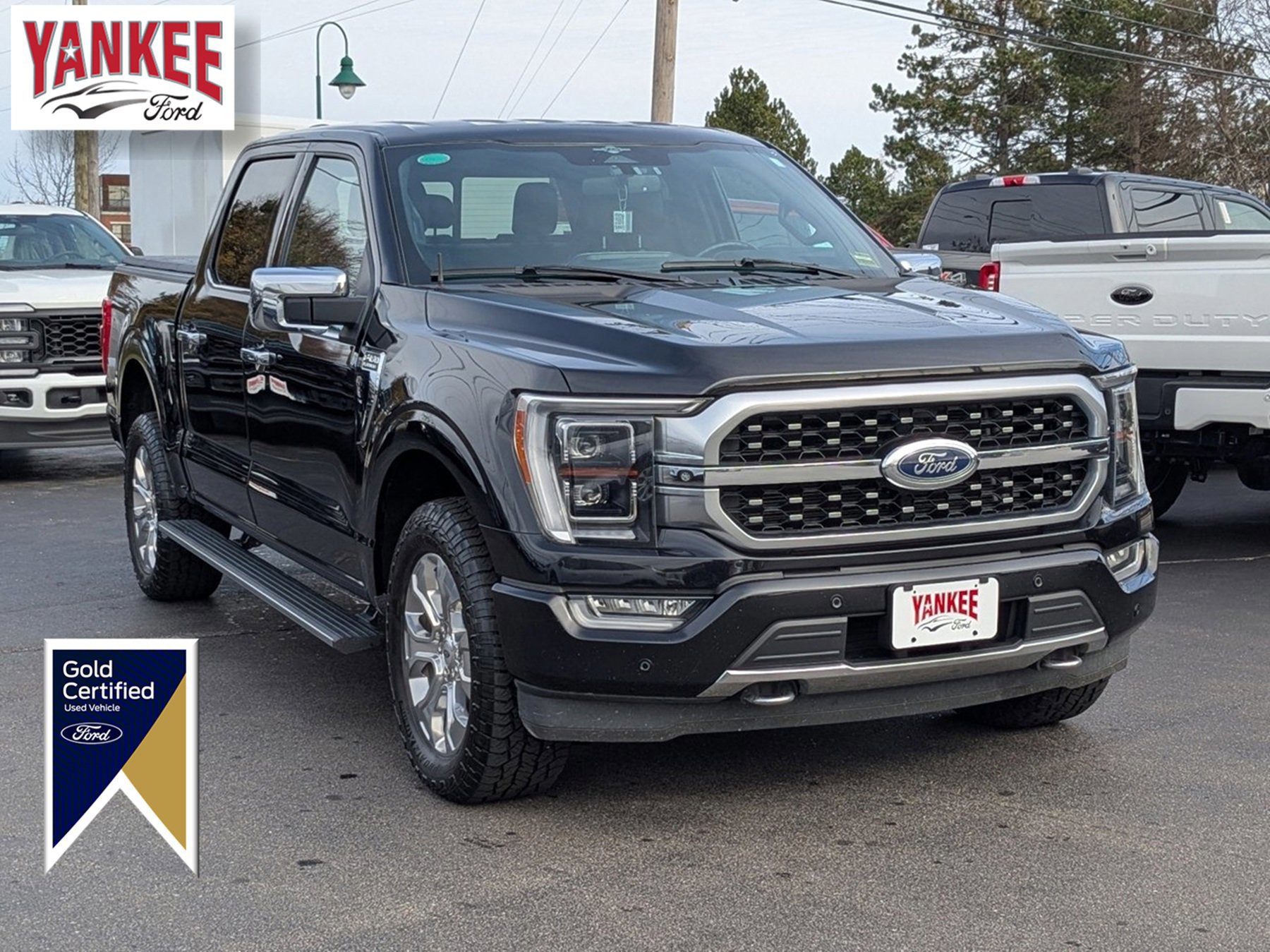 Certified 2023 Ford F150 Platinum image 6