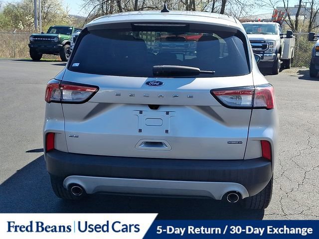 Certified 2020 Ford Escape SE Sport image 6