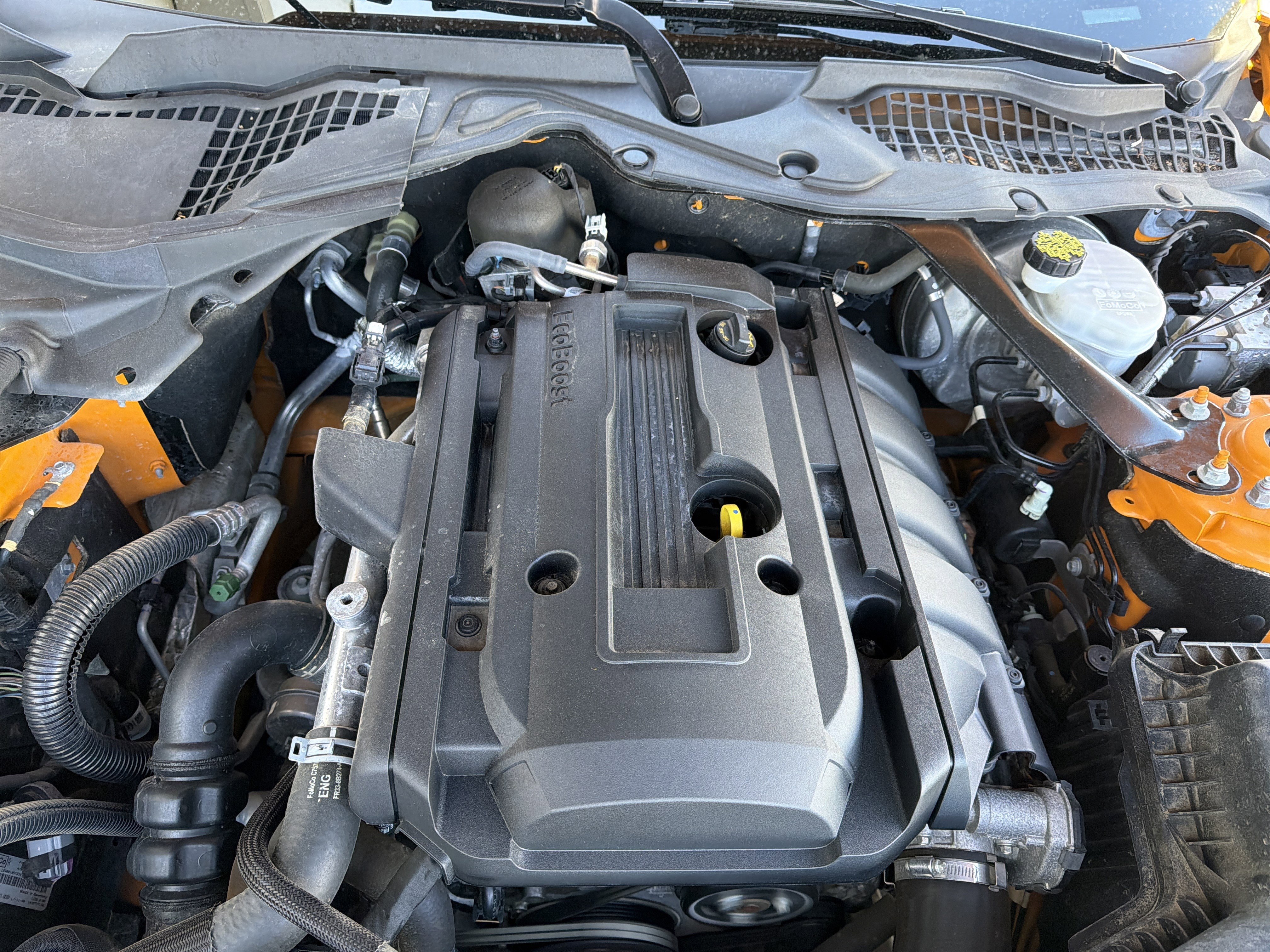 Certified 2018 Ford Mustang Premium w/ Equipment Group 201A RWD image 54