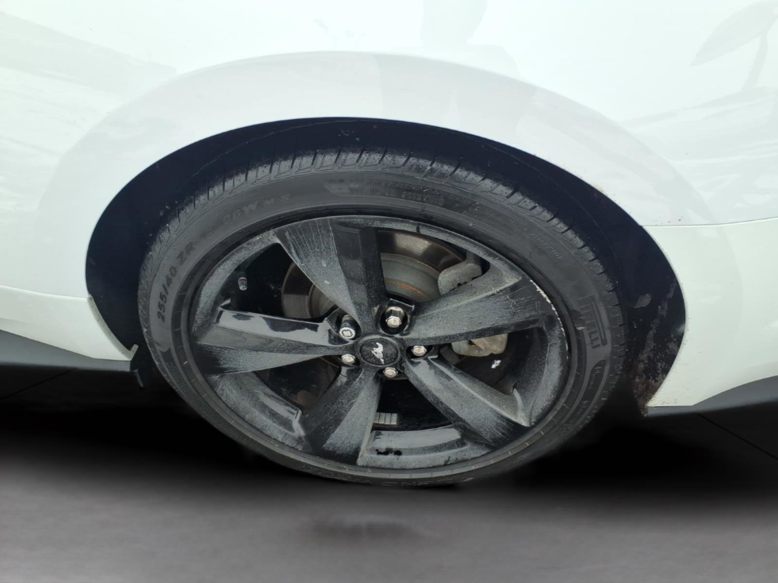 Certified 2022 Ford Mustang Premium w/ Equipment Group 201A image 8