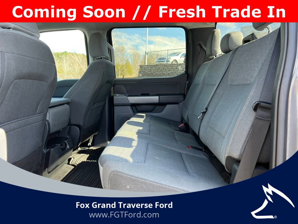 Certified 2025 Ford F150 XLT w/ Equipment Group 301A Standard AWD/4WD image 5