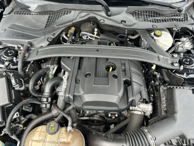 Certified 2018 Ford Mustang Premium w/ Ecoboost Performance Package RWD image 28