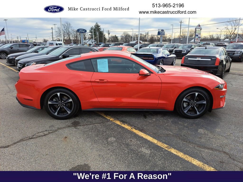 Certified 2019 Ford Mustang Coupe image 6