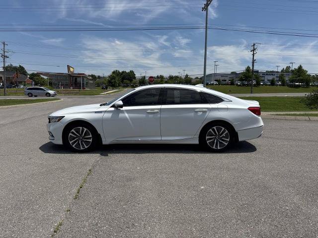 Used 2019 Honda Accord EX-L image 8
