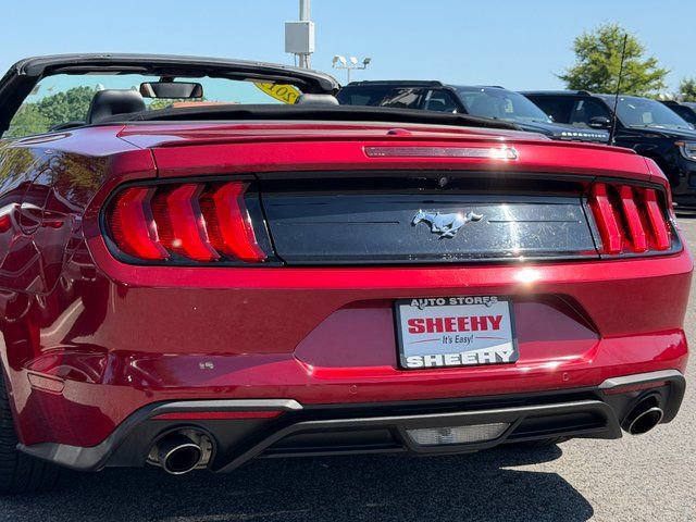 Certified 2019 Ford Mustang Premium RWD image 35