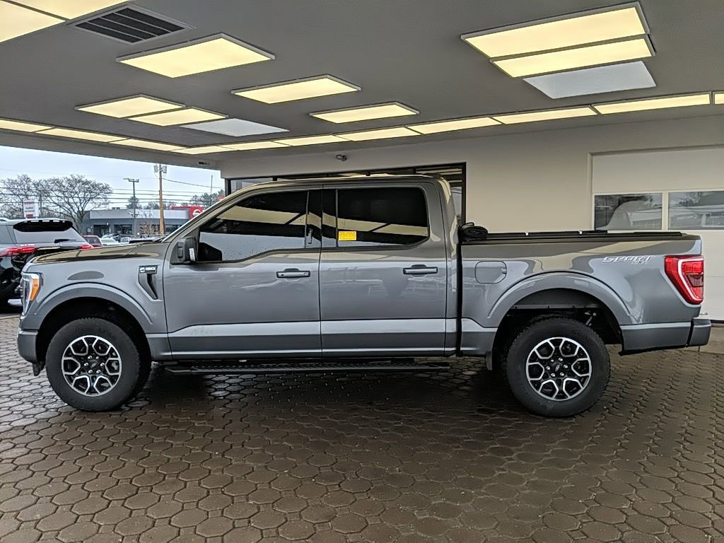 Certified 2023 Ford F150 XLT w/ Equipment Group 302A High image 2