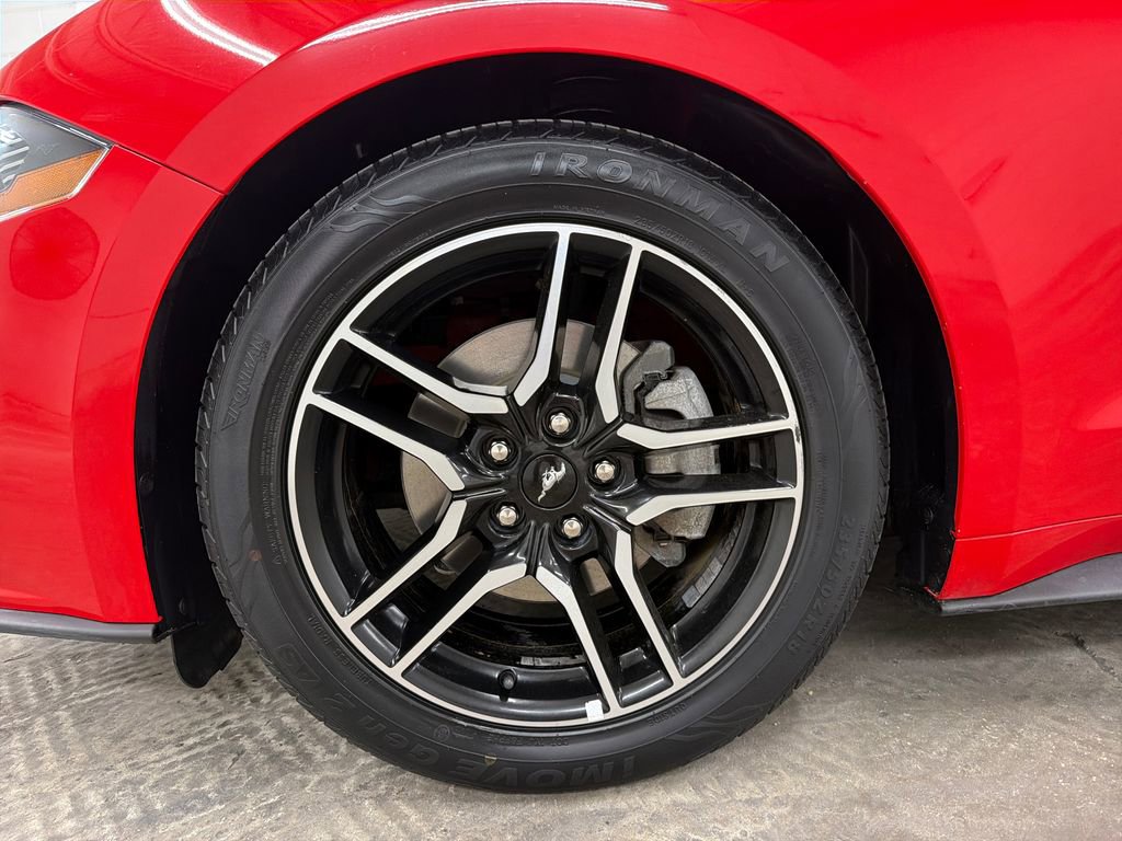 Certified 2019 Ford Mustang Premium RWD image 13