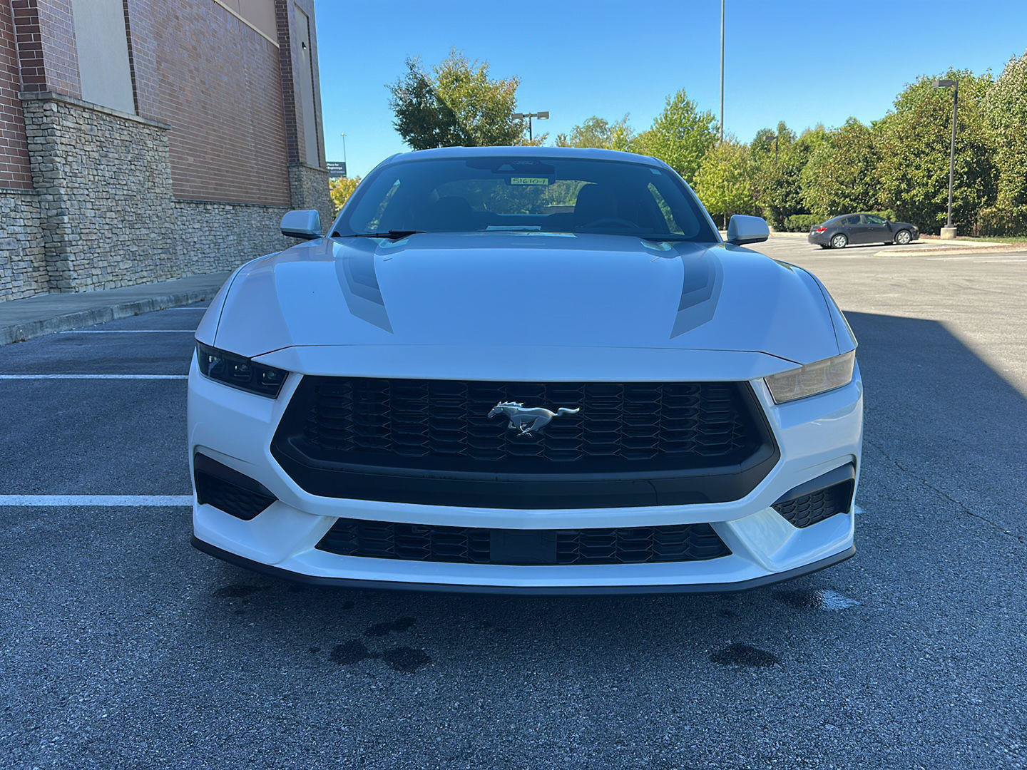 Certified 2025 Ford Mustang Coupe w/ Wheel & Stripe Package RWD image 8