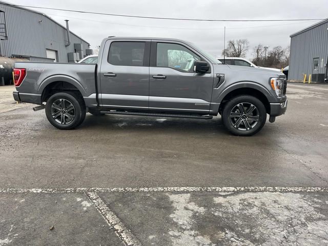 Certified 2023 Ford F150 XLT w/ Equipment Group 302A High video 2