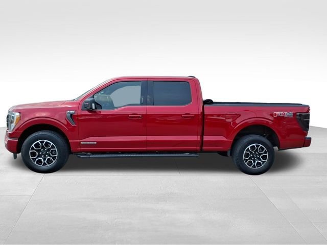 Certified 2021 Ford F150 XLT w/ Equipment Group 302A High AWD/4WD image 7