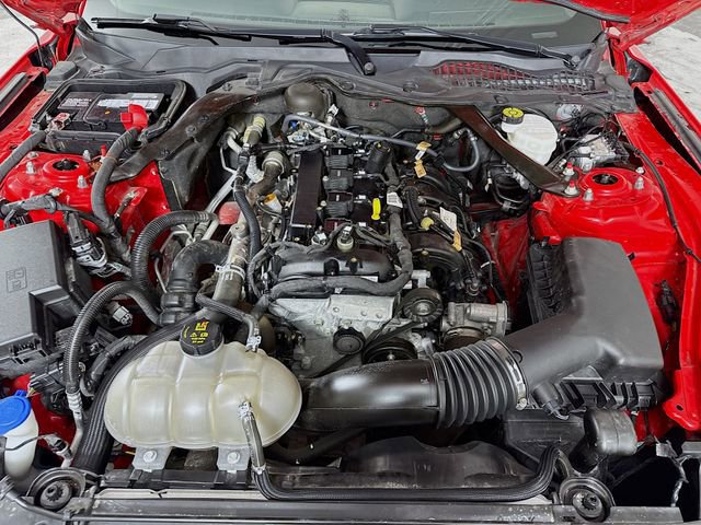 Certified 2022 Ford Mustang Premium image 28