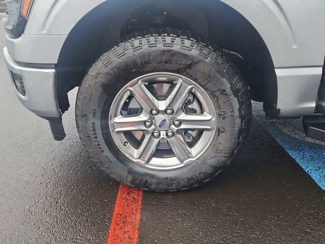 Certified 2025 Ford F150 XLT w/ Equipment Group 301A Standard image 36