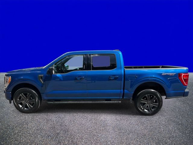Certified 2023 Ford F150 XLT w/ Equipment Group 302A High AWD/4WD image 6
