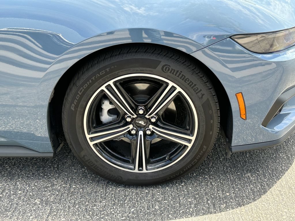 Certified 2025 Ford Mustang Coupe RWD image 13