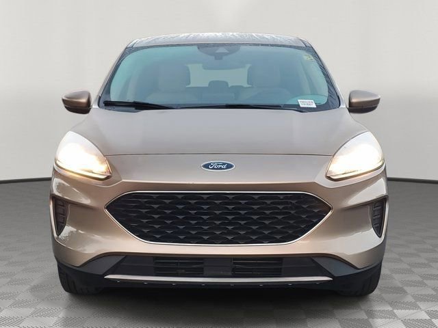 Certified 2020 Ford Escape SE image 6