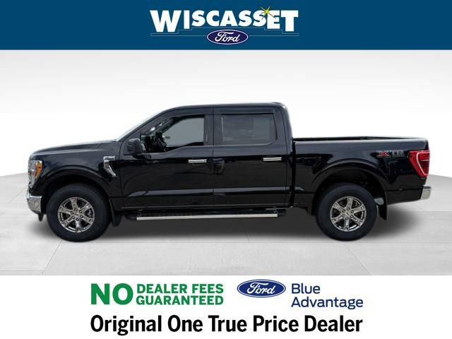 Certified 2023 Ford F150 XLT w/ Equipment Group 301A Mid image 2