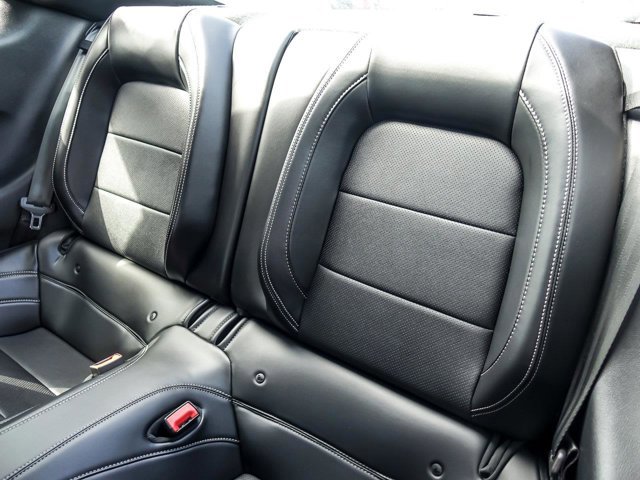 Certified 2019 Ford Mustang Premium w/ Equipment Group 201A RWD image 15