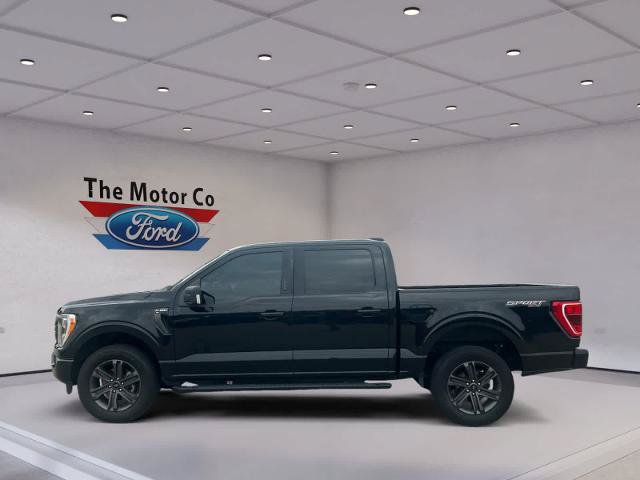 Certified 2023 Ford F150 XLT w/ Equipment Group 302A High AWD/4WD image 7
