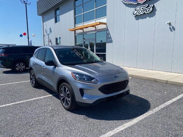 Certified 2022 Ford Escape SE w/ SE Sport Appearance Package AWD/4WD image 6