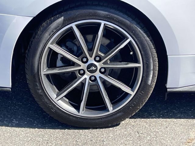 Certified 2019 Ford Mustang Premium w/ Equipment Group 201A RWD image 13