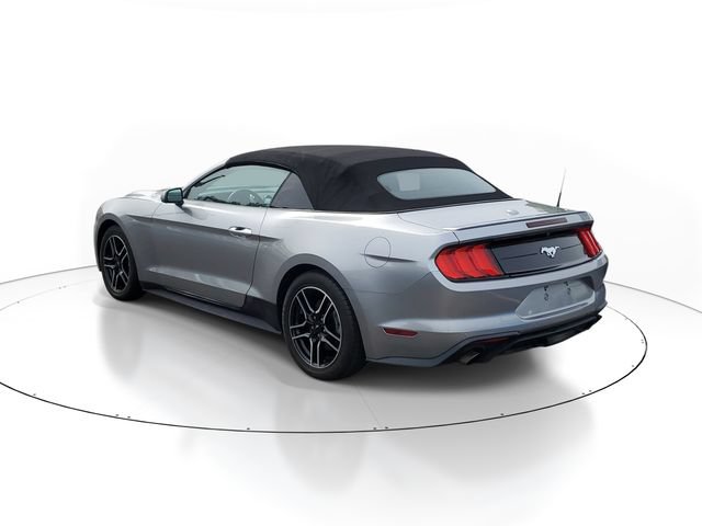 Certified 2022 Ford Mustang Premium RWD image 4