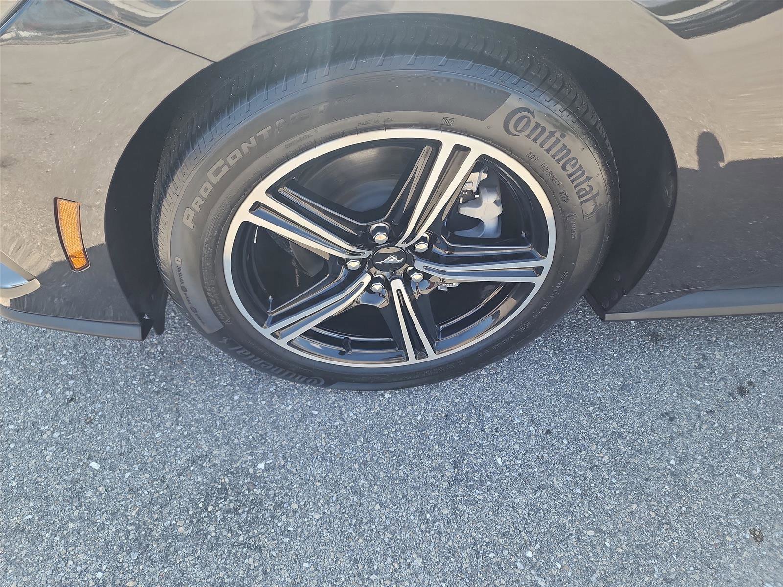 Certified 2024 Ford Mustang Premium image 9