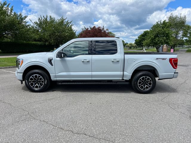 Certified 2023 Ford F150 XLT w/ Equipment Group 302A High AWD/4WD image 6