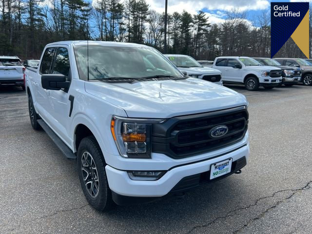 Certified 2022 Ford F150 XLT w/ Equipment Group 302A High
