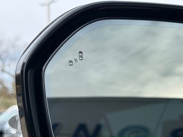 Certified 2023 Ford Expedition King Ranch image 6