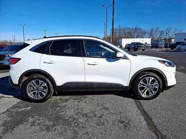 Certified 2022 Ford Escape SEL image 5