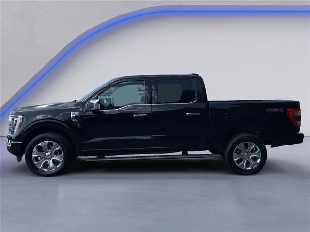 Certified 2023 Ford F150 Platinum w/ Equipment Group 701A High AWD/4WD image 7