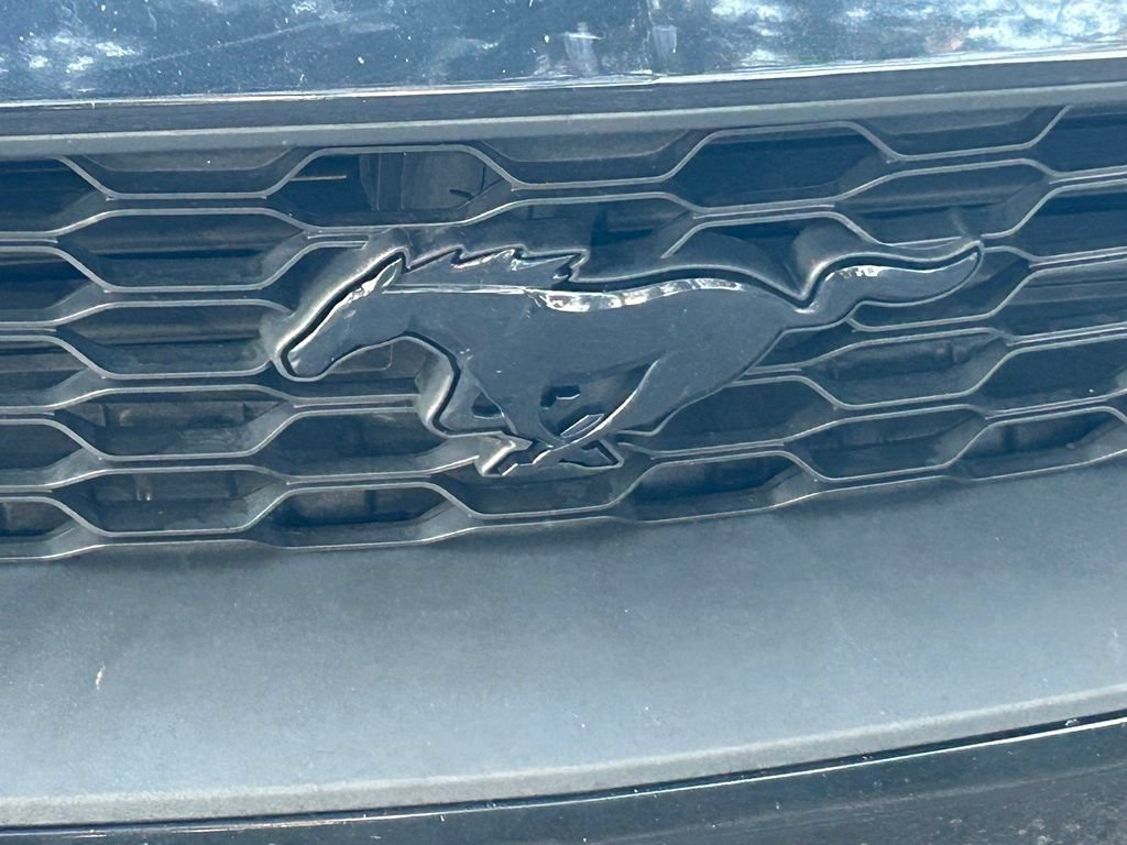 Certified 2019 Ford Mustang Premium w/ Equipment Group 201A RWD image 18