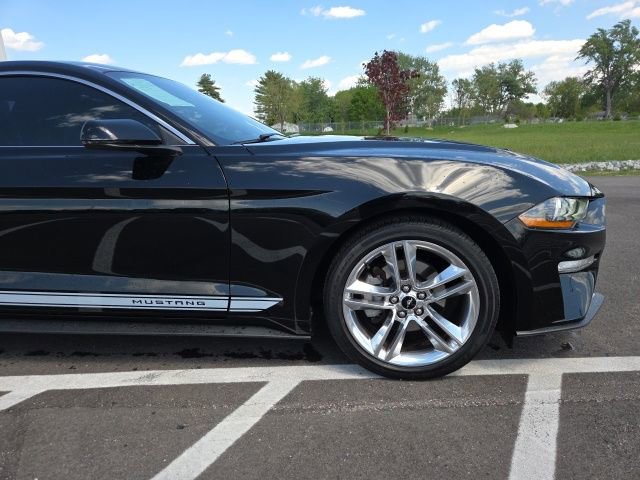 Certified 2019 Ford Mustang Premium w/ Equipment Group 201A RWD image 4